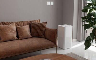 5 Essential Tips for Achieving Better Indoor Air Quality